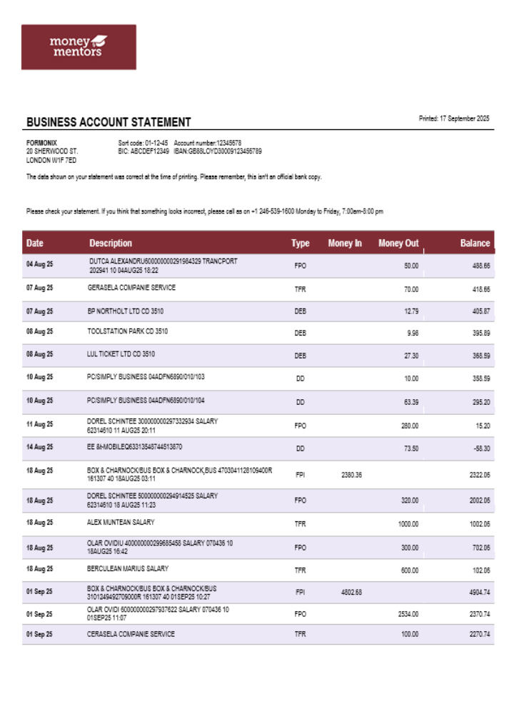 Canadian Money Mentors (MM) business organization checking  statement Word and PDF format
